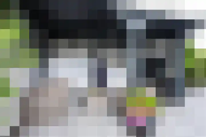de Pannebakker 1 Nieuwe-Tonge thumbnail 9