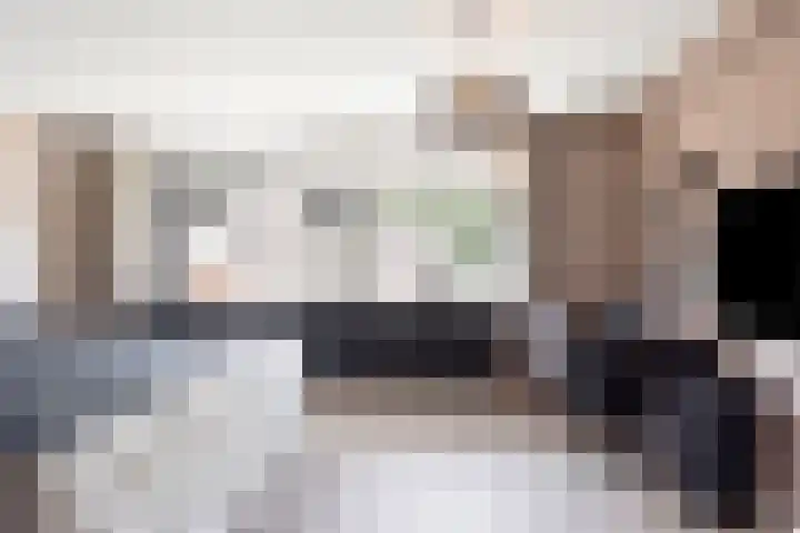 De Panneboeter 13 Hendrik-Ido-Ambacht thumbnail 12