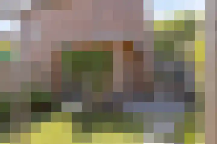 De Panneboeter 13 Hendrik-Ido-Ambacht thumbnail 22