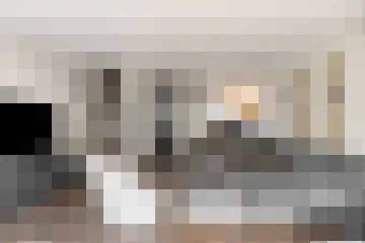 De Panneboeter 13 Hendrik-Ido-Ambacht thumbnail 6