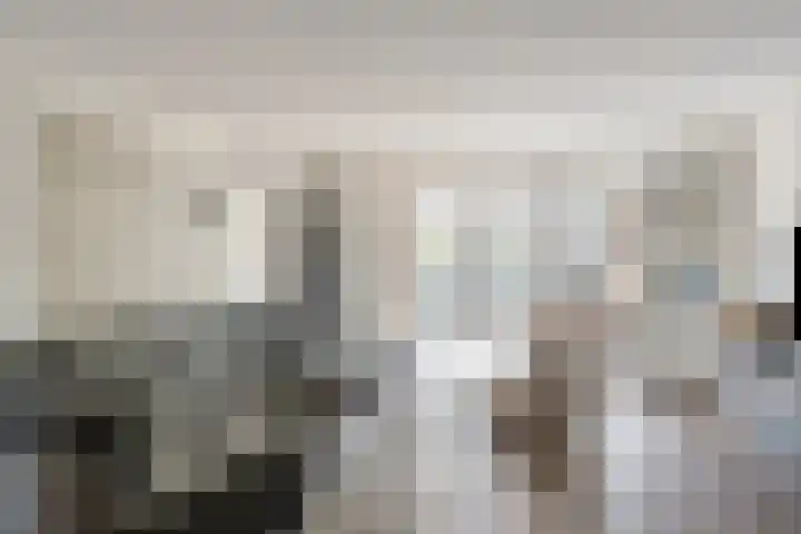 De Panneboeter 13 Hendrik-Ido-Ambacht thumbnail 7