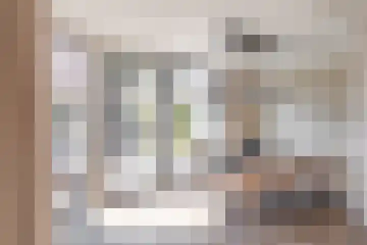 De Panneboeter 13 Hendrik-Ido-Ambacht thumbnail 8