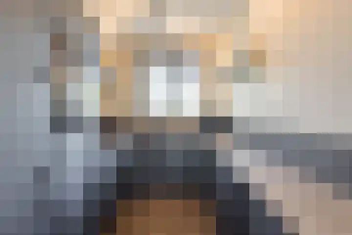 De Panneboeter 13 Hendrik-Ido-Ambacht thumbnail 9