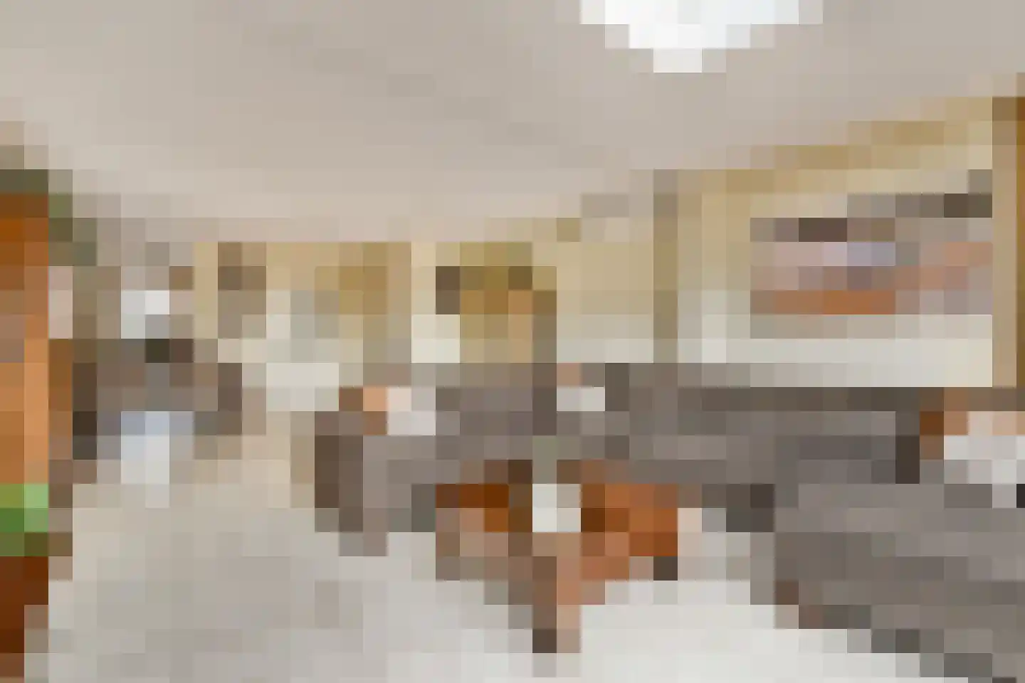 De Panneboeter 35 Hendrik-Ido-Ambacht thumbnail 8