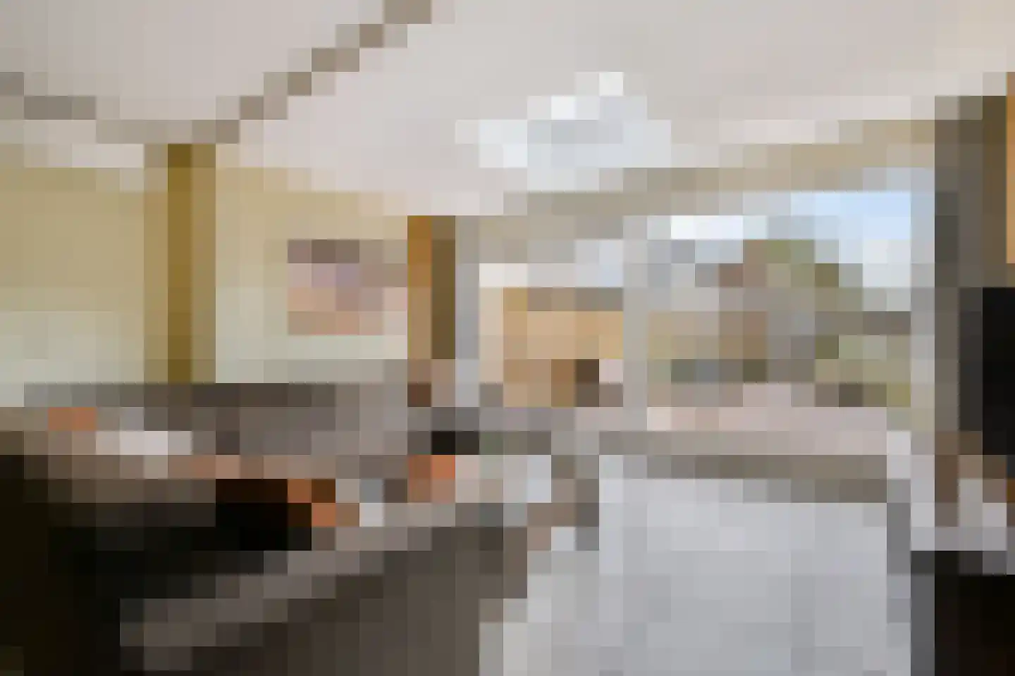 De Panneboeter 35 Hendrik-Ido-Ambacht thumbnail 9