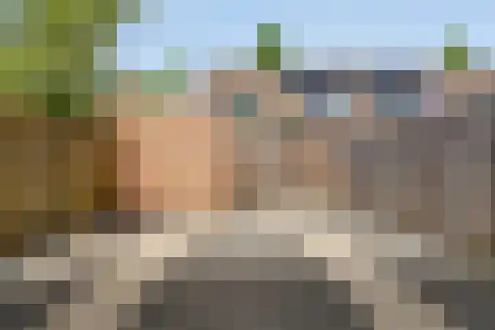 De Panneboeter 55 Hendrik-Ido-Ambacht thumbnail 22
