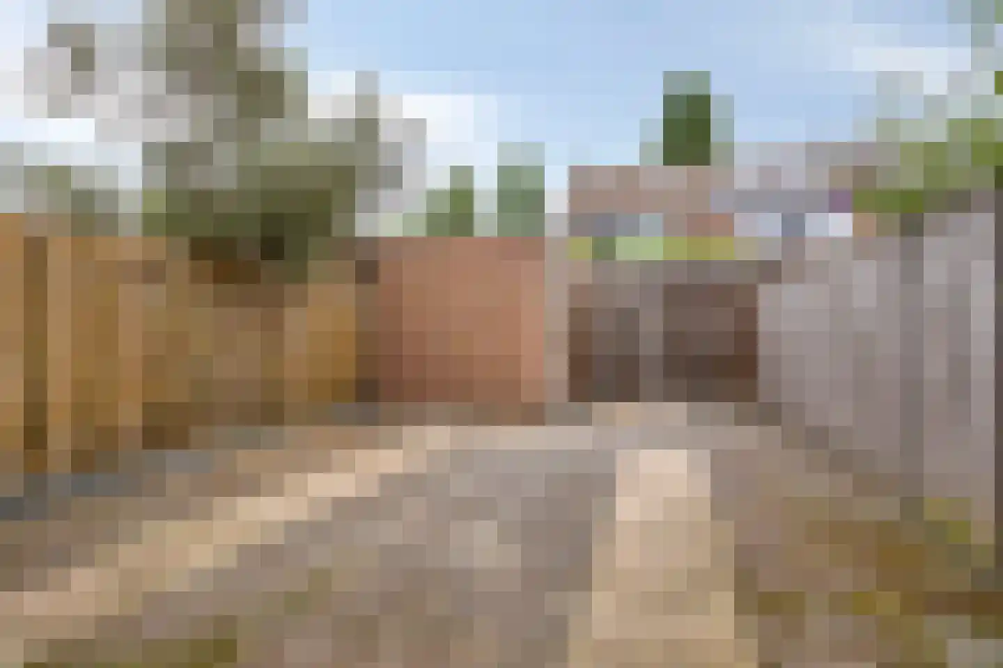 De Panneboeter 55 Hendrik-Ido-Ambacht thumbnail 34