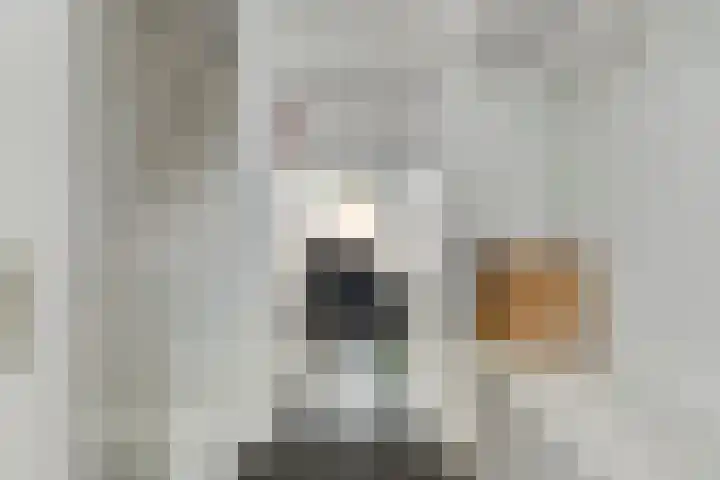 De Panneboeter 55 Hendrik-Ido-Ambacht thumbnail 5