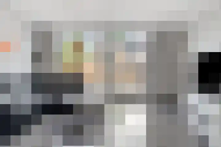 De Panneboeter 55 Hendrik-Ido-Ambacht thumbnail 7