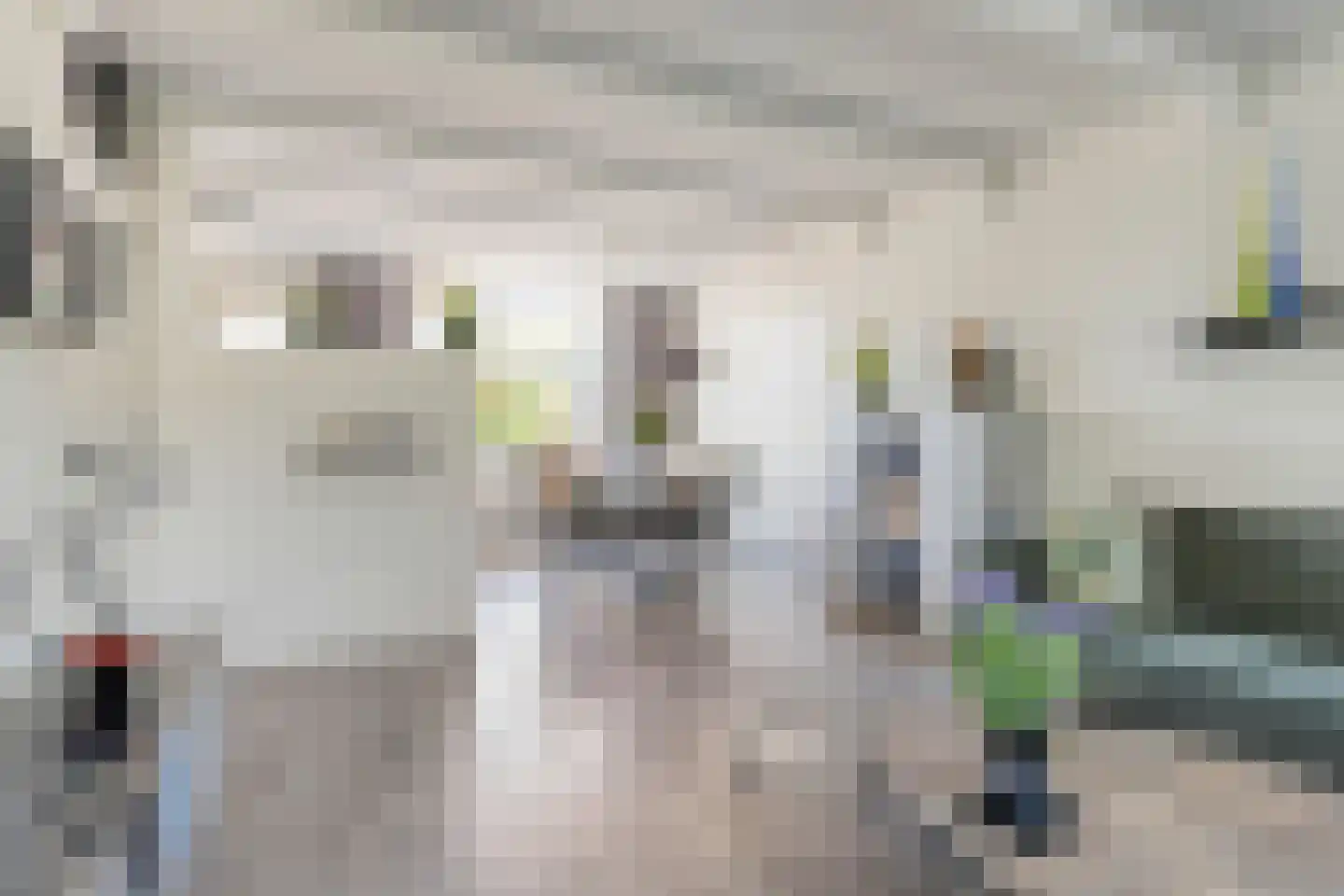 De Panneboeter 64 Hendrik-Ido-Ambacht thumbnail 12
