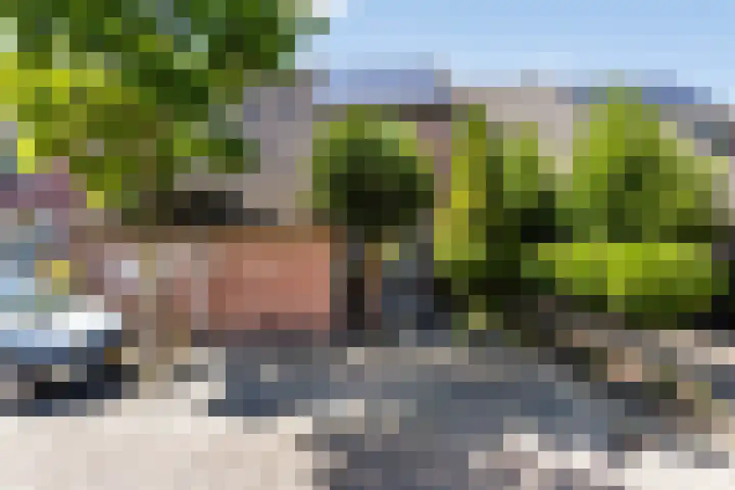 De Panneboeter 64 Hendrik-Ido-Ambacht thumbnail 6
