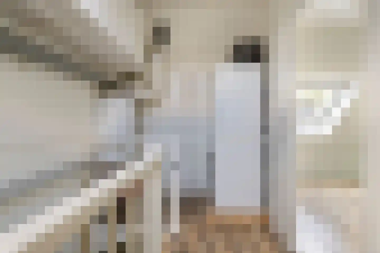 De Panneboeter 7 Hendrik-Ido-Ambacht thumbnail 16