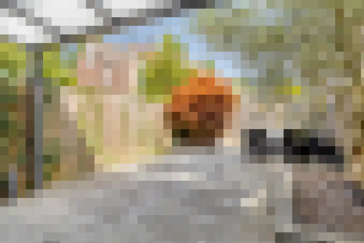 De Panneboeter 7 Hendrik-Ido-Ambacht thumbnail 19