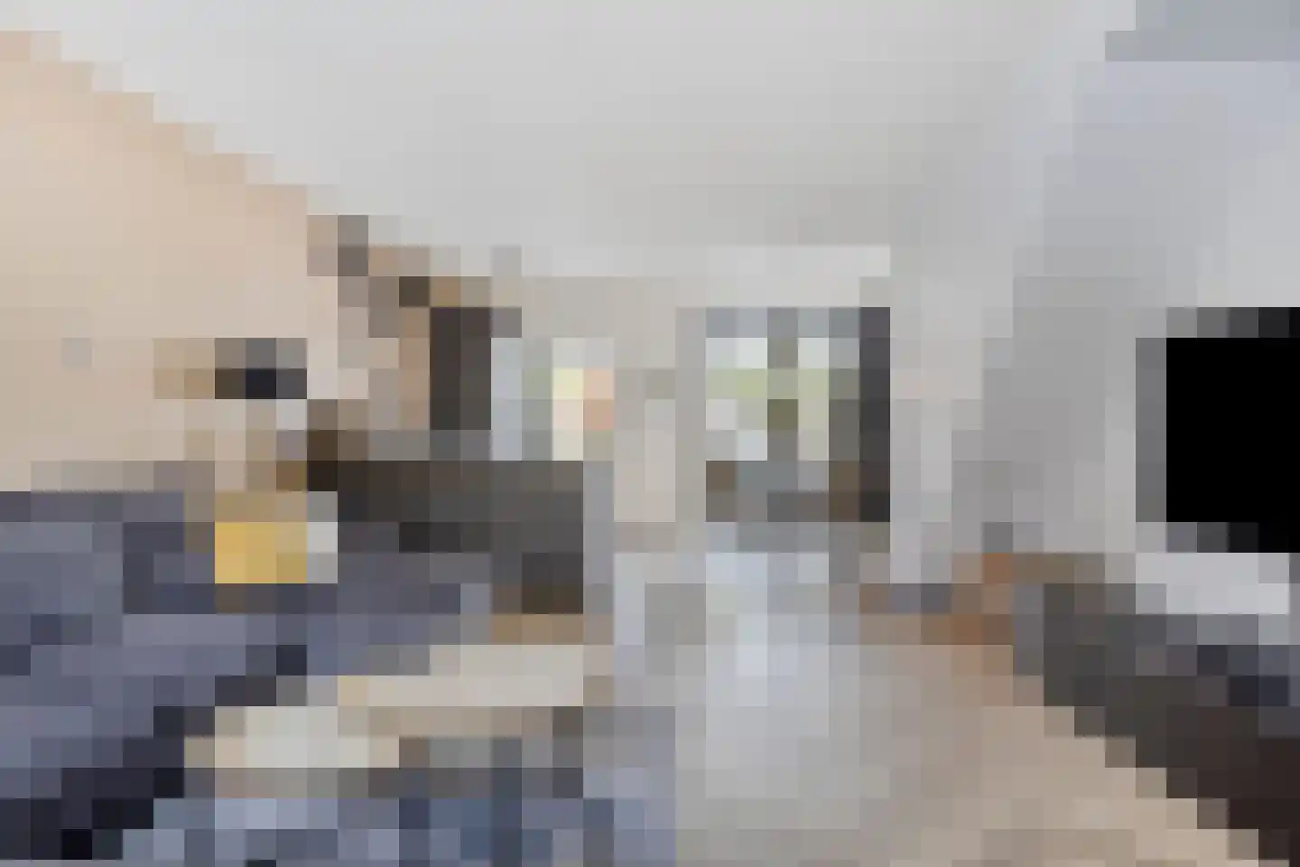 De Panneboeter 7 Hendrik-Ido-Ambacht thumbnail 7