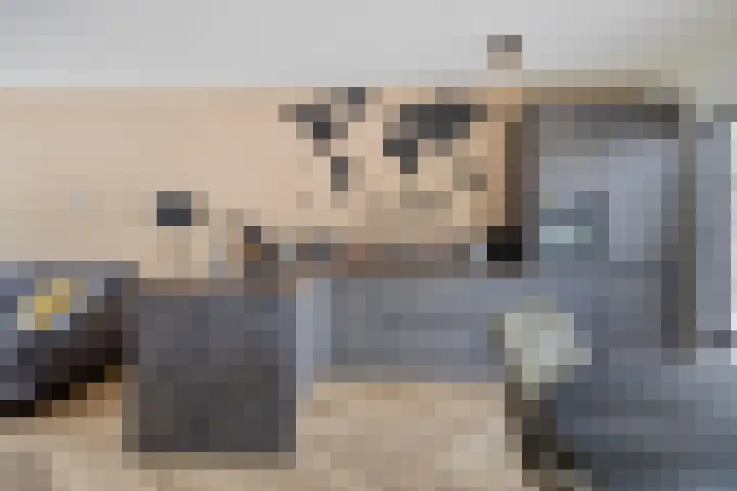 De Panneboeter 7 Hendrik-Ido-Ambacht thumbnail 8