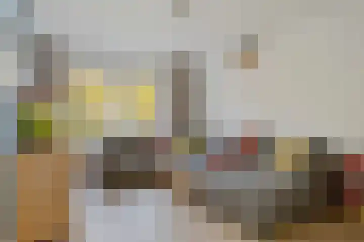 De Papiermaker 12 Boxtel foto 3