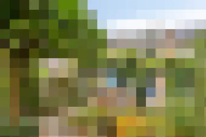 De Papiermaker 12 Boxtel thumbnail 32