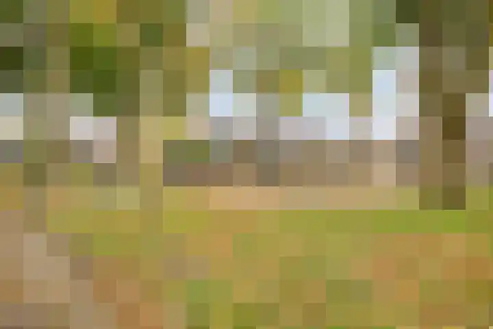 De Papiermaker 12 Boxtel thumbnail 33