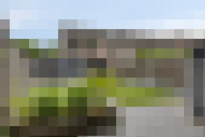 De Papiermaker 35 Boxtel thumbnail 24