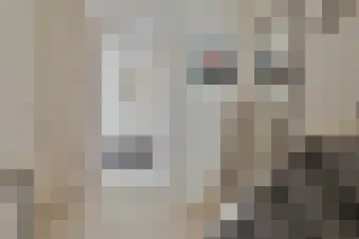 De Parel 13 Amstelveen thumbnail 6