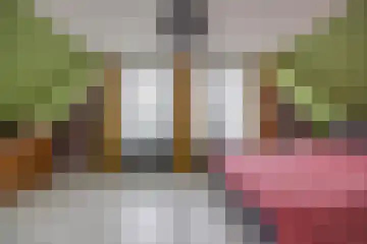 De Parel 16 Kornhorn thumbnail 26