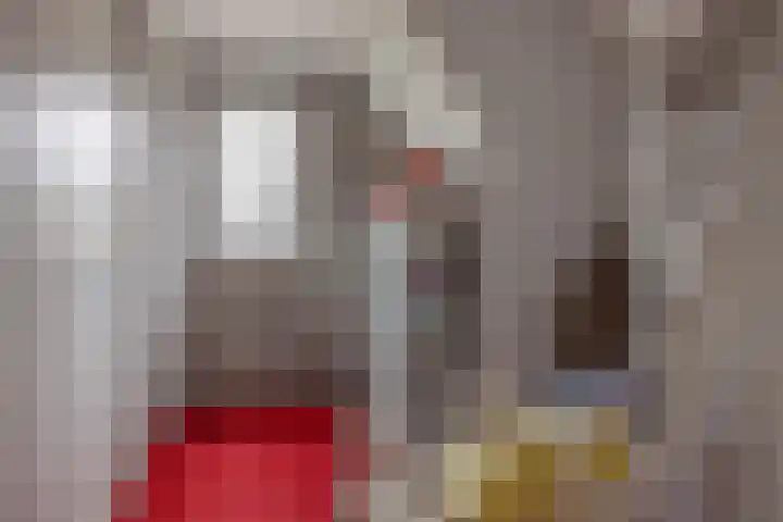 De Parel 16 Kornhorn thumbnail 31