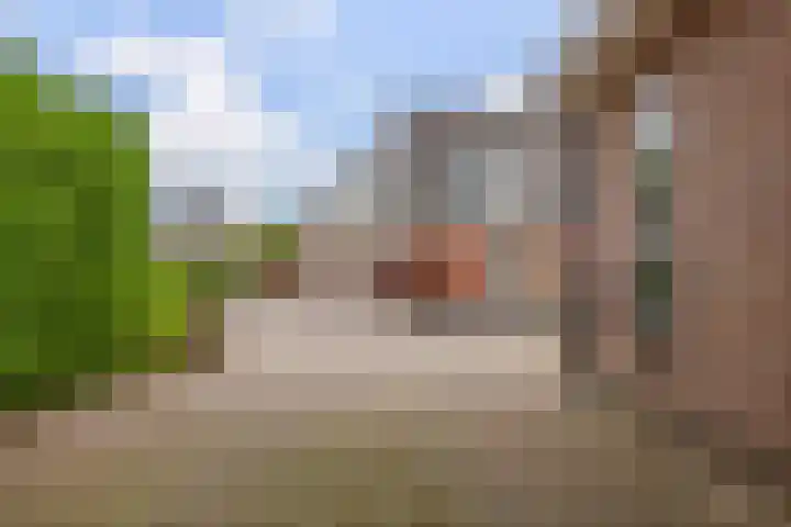 De Parel 16 Kornhorn thumbnail 42