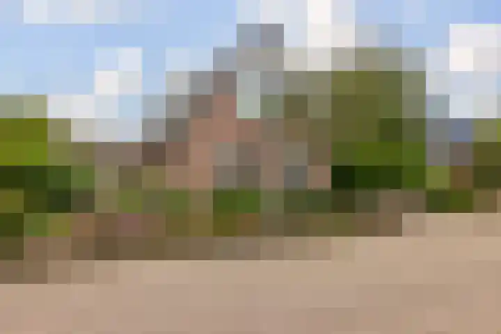 De Parel 16 Kornhorn thumbnail 48