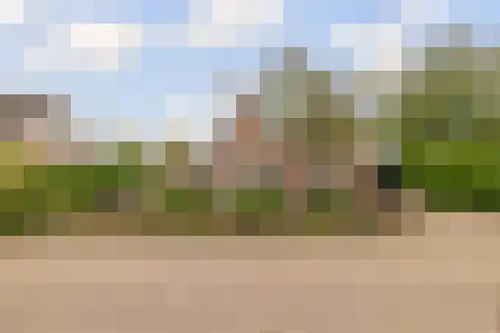 De Parel 16 Kornhorn thumbnail 49