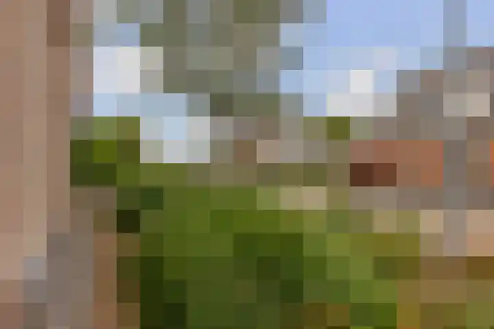 De Parel 16 Kornhorn thumbnail 50