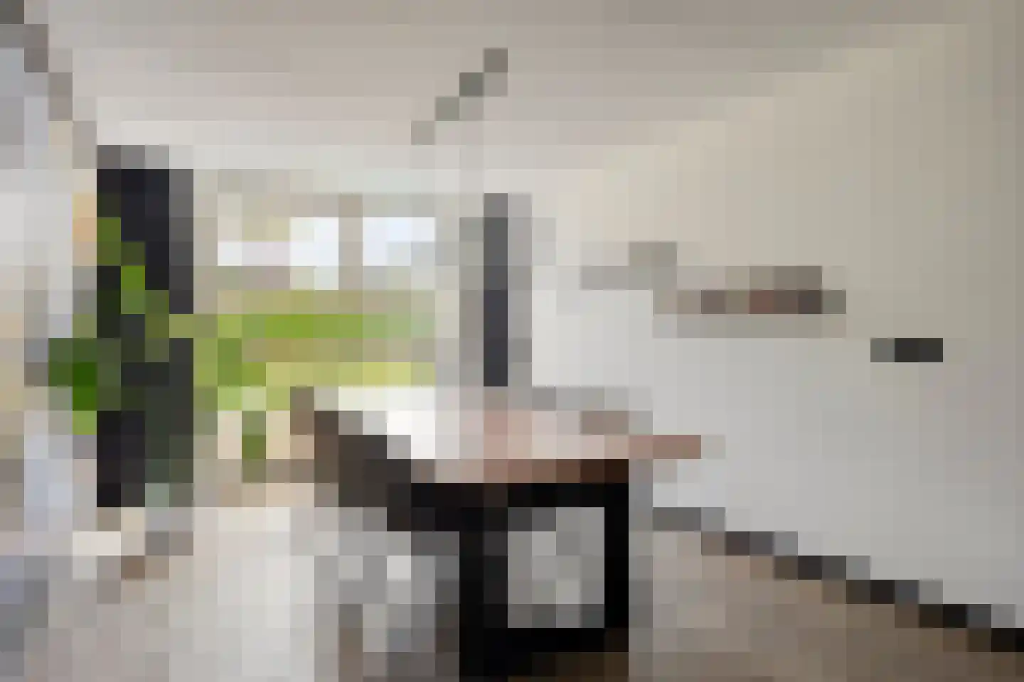 De Parelvissers 25 Kampen thumbnail 16
