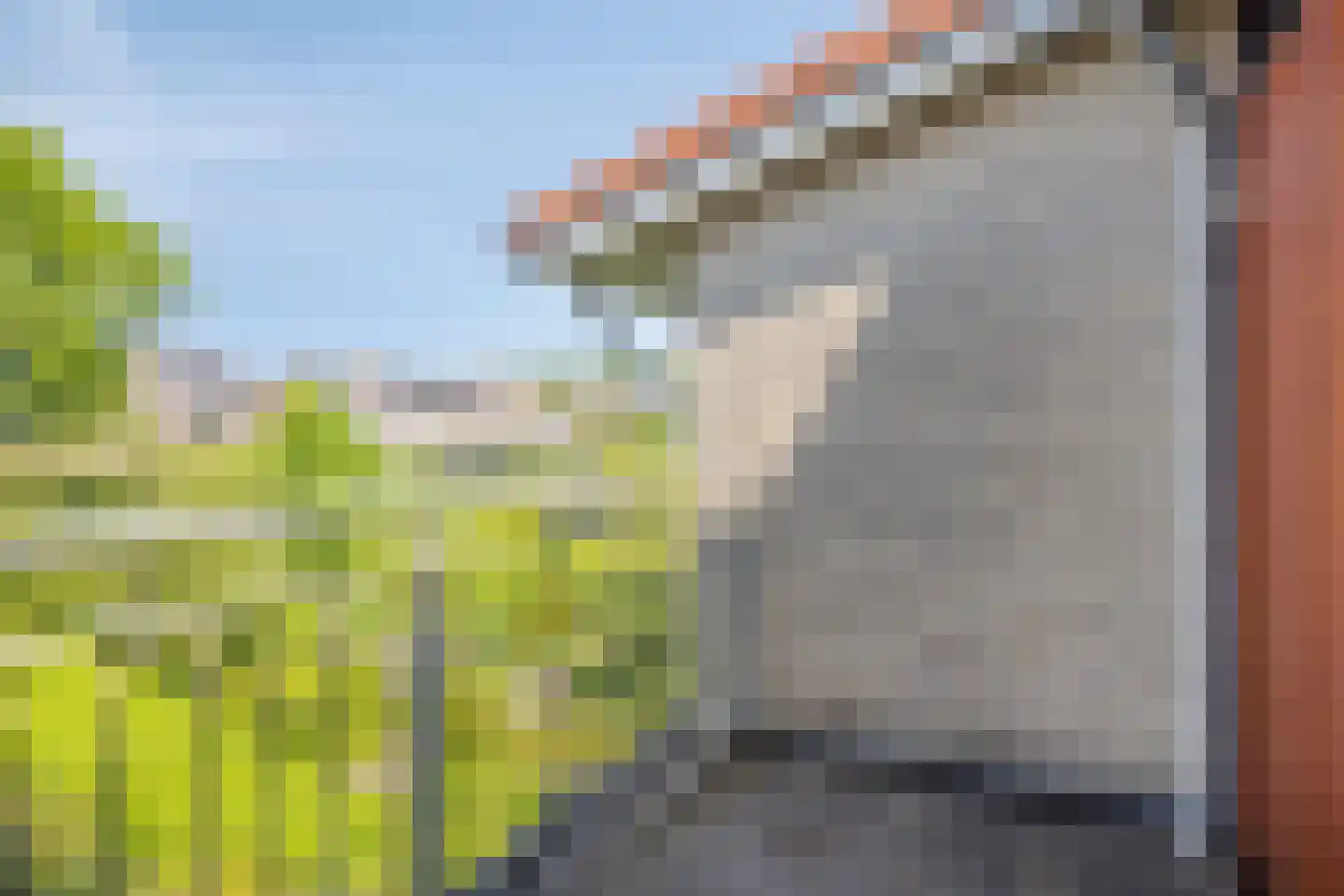 De Parelvissers 25 Kampen thumbnail 24