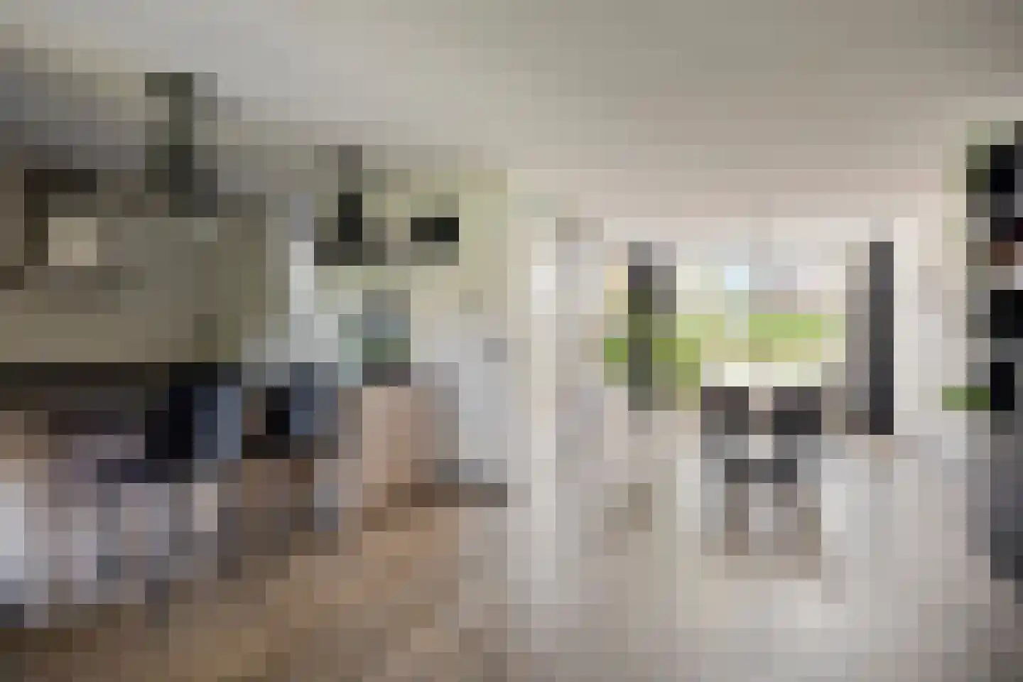 De Parelvissers 25 Kampen thumbnail 4