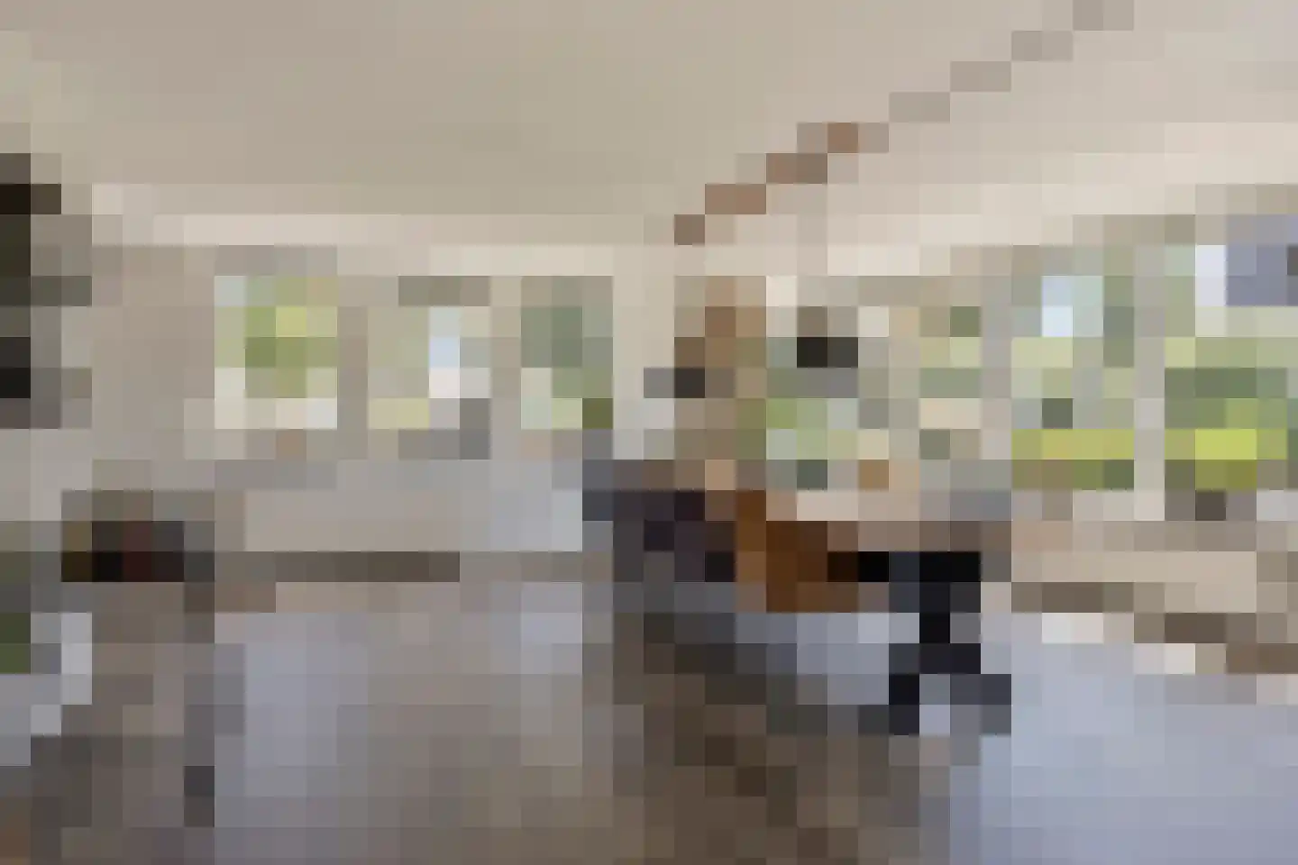 De Parelvissers 37 Kampen thumbnail 19