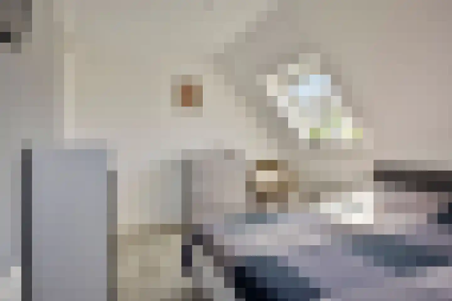De Parelvissers 37 Kampen thumbnail 29