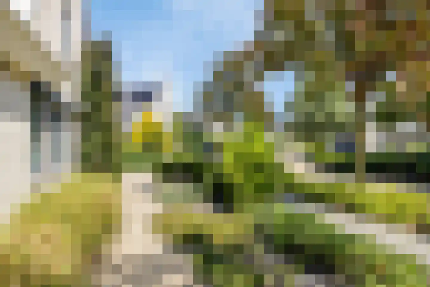 De Parelvissers 37 Kampen thumbnail 50