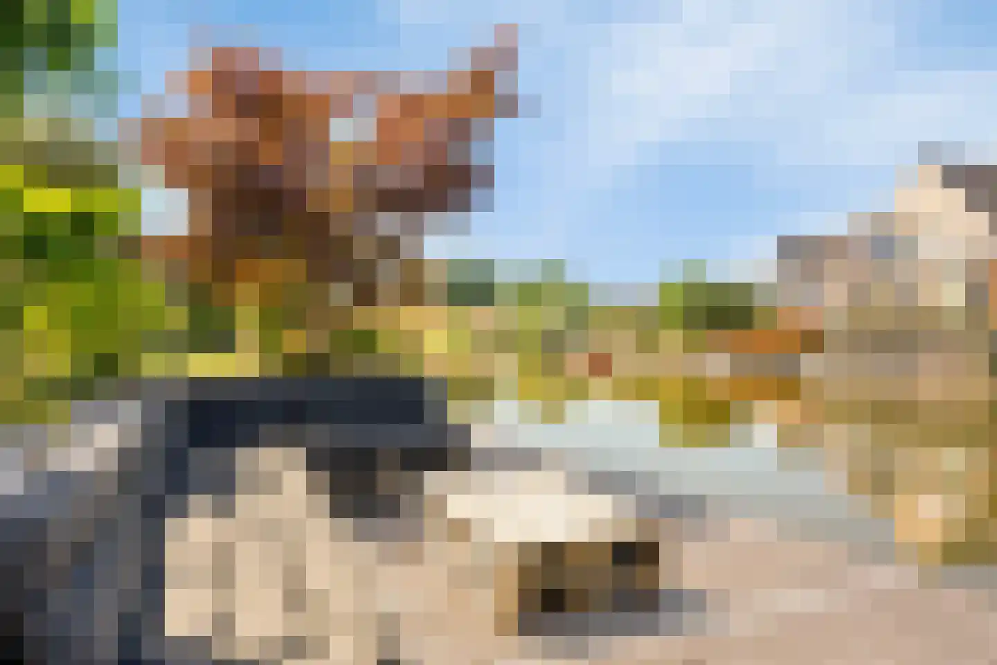 De Parelvissers 37 Kampen thumbnail 51