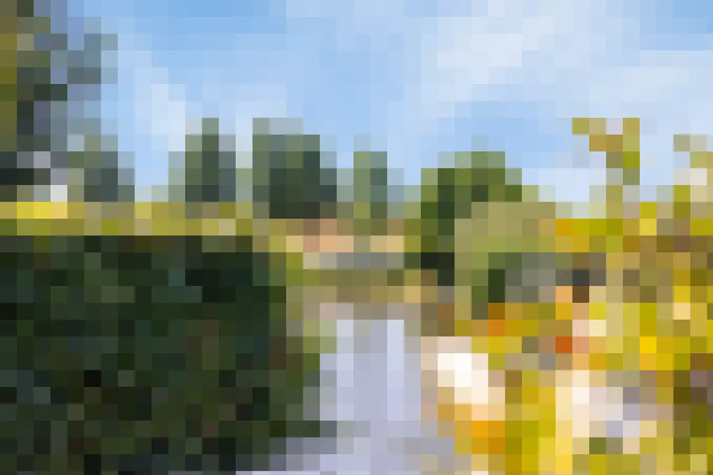 De Parelvissers 37 Kampen thumbnail 55