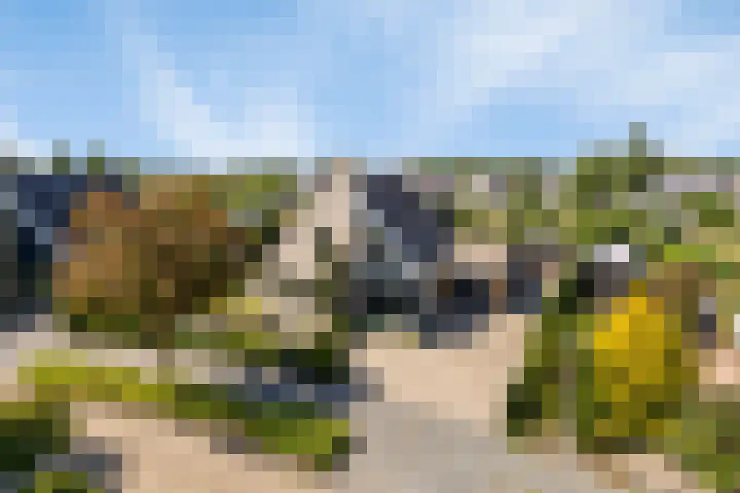 De Parelvissers 37 Kampen thumbnail 8