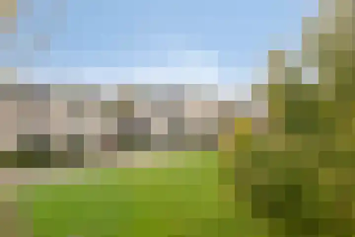 De Parelvissers 53 Kampen thumbnail 10