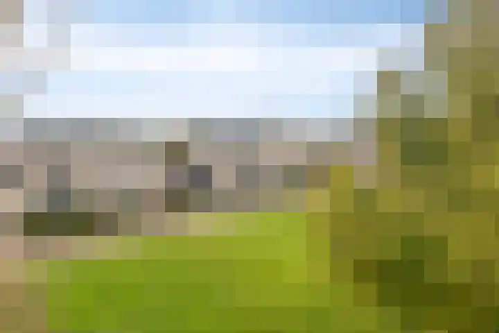 De Parelvissers 53 Kampen thumbnail 11