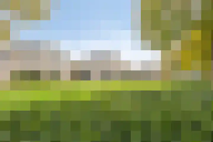 De Parelvissers 53 Kampen thumbnail 12
