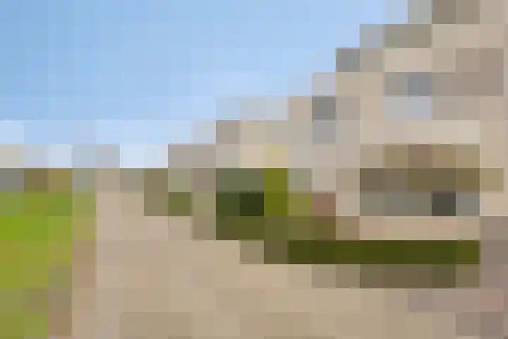De Parelvissers 53 Kampen thumbnail 14