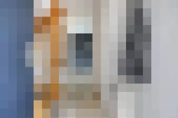 De Parelvissers 53 Kampen thumbnail 16