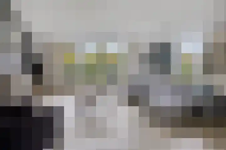 De Parelvissers 53 Kampen thumbnail 17