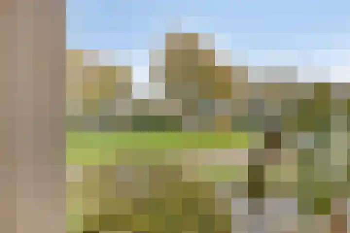 De Parelvissers 53 Kampen thumbnail 18