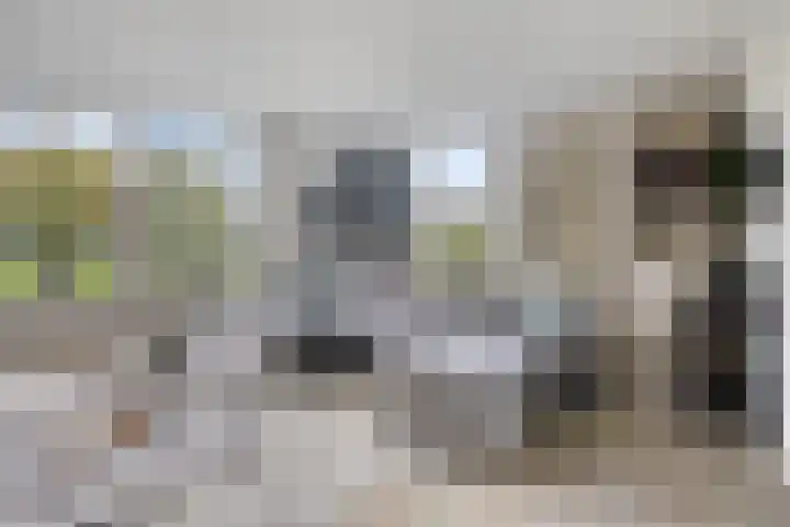 De Parelvissers 53 Kampen thumbnail 19