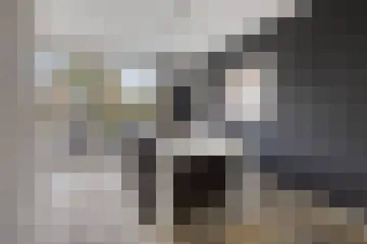 De Parelvissers 53 Kampen thumbnail 22