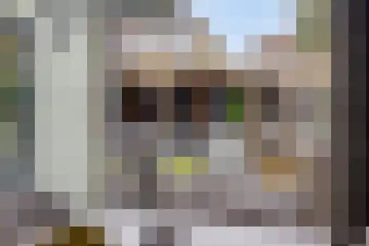 De Parelvissers 53 Kampen thumbnail 23
