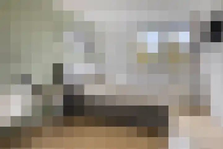 De Parelvissers 53 Kampen thumbnail 29